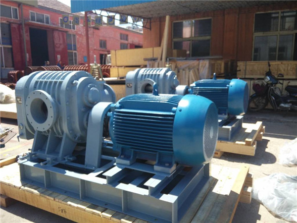 L52-WTD罗茨风机准备安装发货(图1)